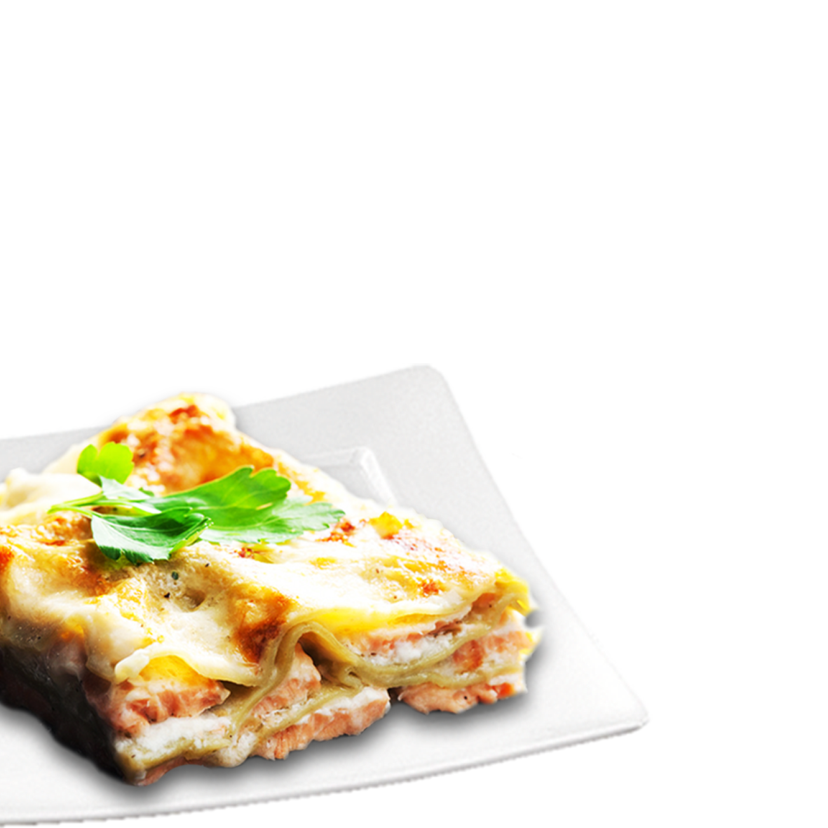 Lasagna Salmon 500 Gr